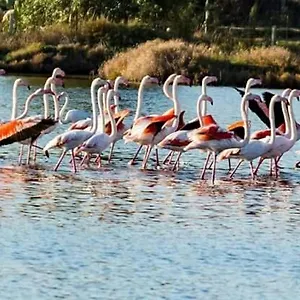 Levante Posada (Sardinia)